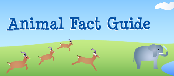 animal fact guide